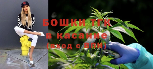 гидра Арсеньев