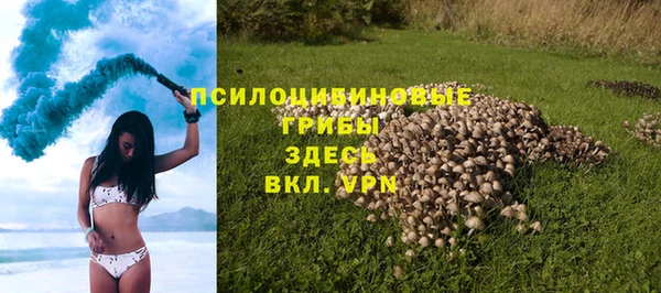 прущая мука Армянск