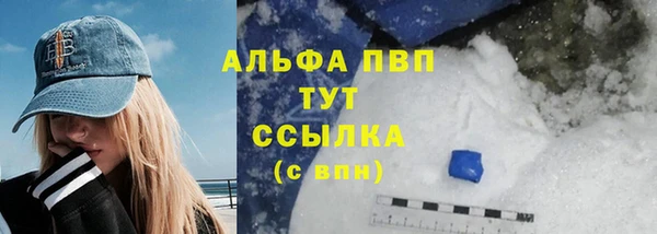 гидра Арсеньев