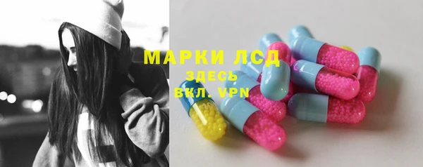 гидра Арсеньев